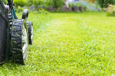 One time discount lawn mowing service